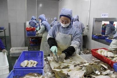 俄羅斯原料主導(dǎo)未來？琿春海產(chǎn)加工業(yè)迎來新動力
