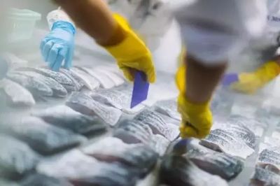 熟凍海鮮不如新鮮的好？真正頂級的鮮味，選對保藏方式才是王道
